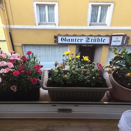 Homestay Waldshut-Tiengen Extérieur photo