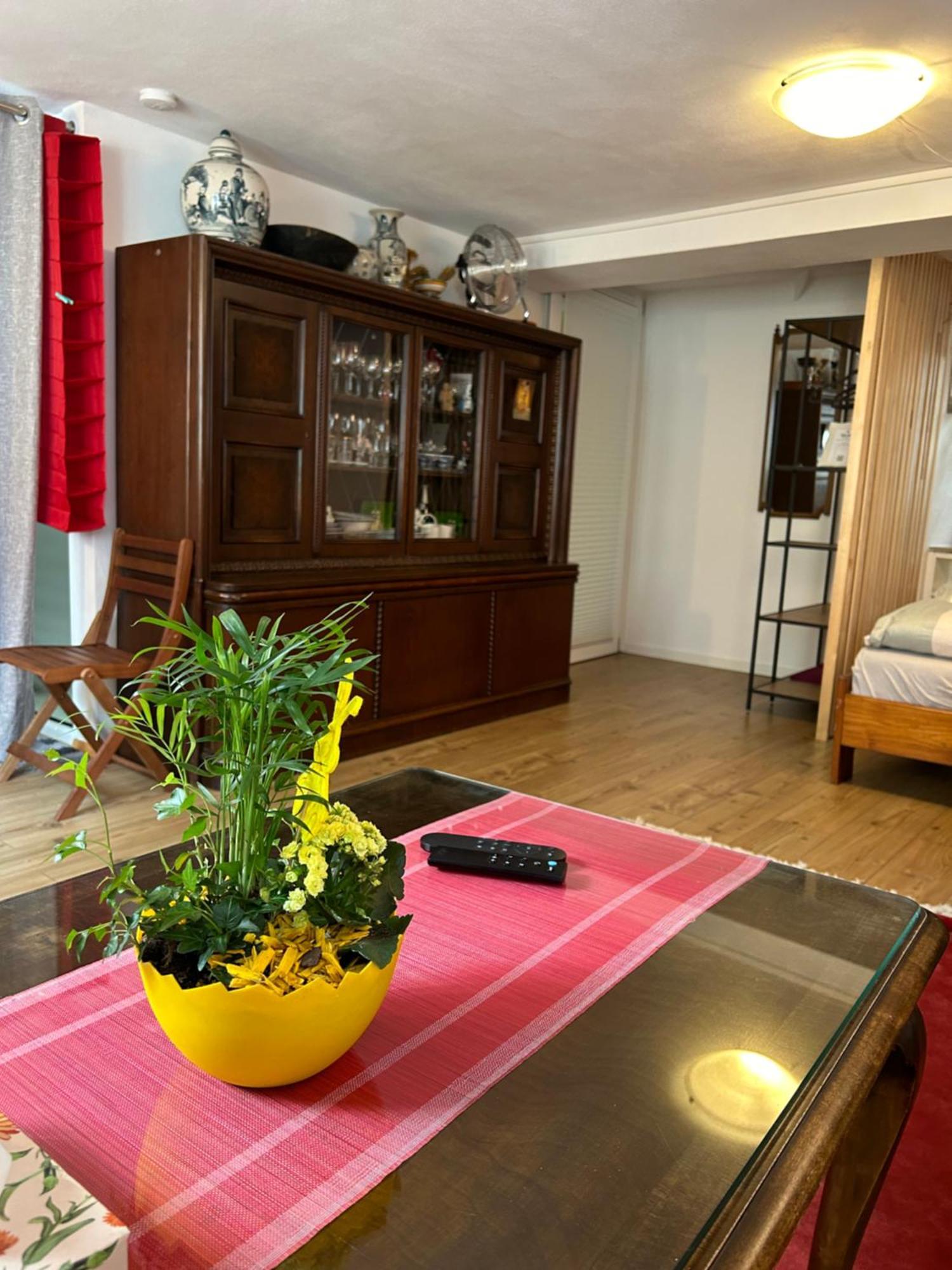 Homestay Waldshut-Tiengen Extérieur photo